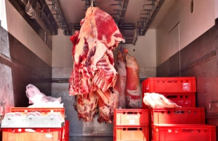 Transport mięso